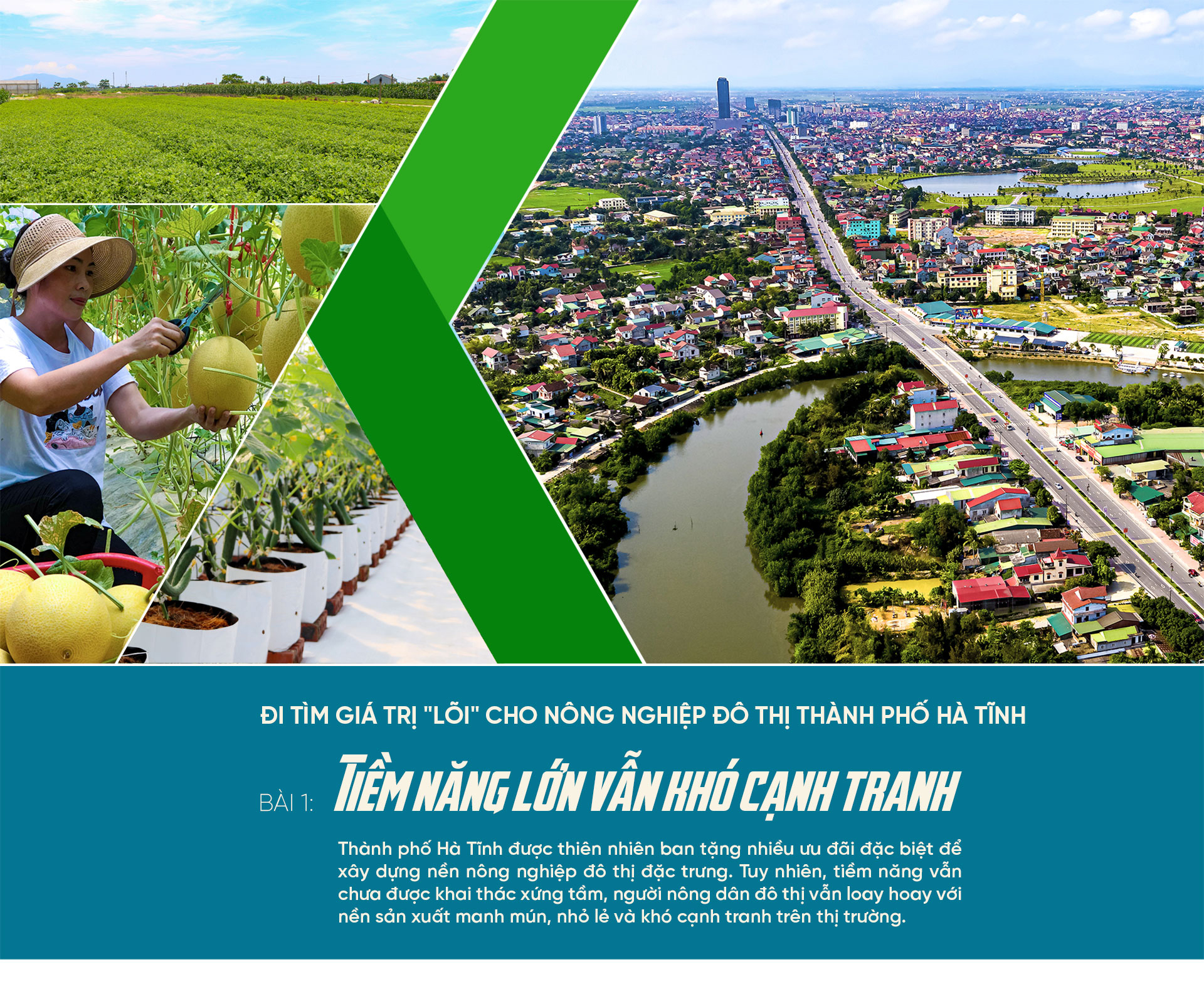 Đi tìm giá trị “lõi” cho nông nghiệp đô thị TP Hà Tĩnh (bài 1): Tiềm năng lớn vẫn khó cạnh tranh