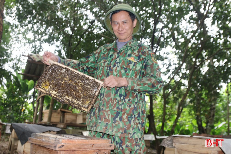 Ông Thái Văn Dũng đã có gần 30 năm gắn bó với nghề nuôi ong.