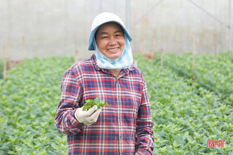 bqbht_br_chi-nguyen-thi-lai-thon-tay-huong-xa-tung-loc-ben-vuon-hoa-tet-dang-vao-ky-dom-nu-hua-hen-vu-mua-boi-thu.jpg