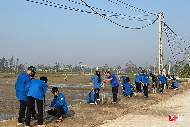 bqbht_br_dong-tien-2.jpg