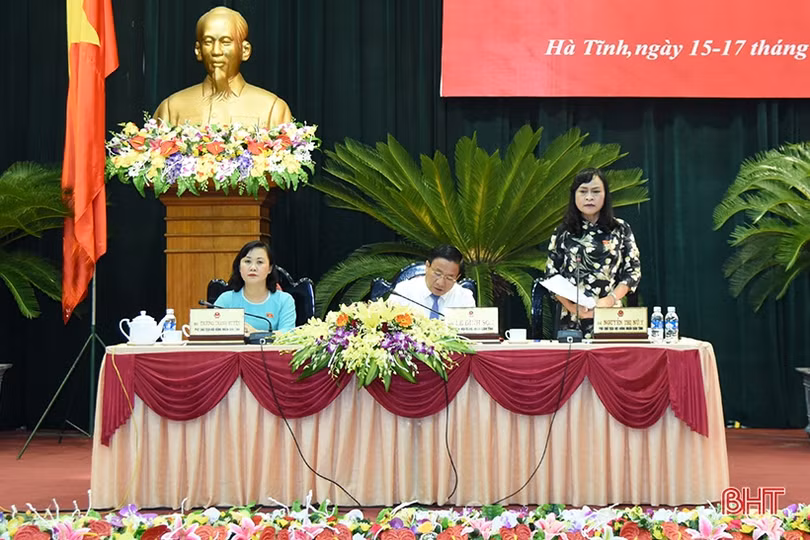 HĐND tỉnh Hà Tĩnh hoàn thành phiên thảo luận tại hội trường