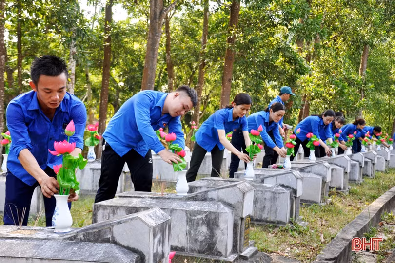 Hơn 7.000 đóa sen dâng mộ liệt sỹ tại Hà Tĩnh