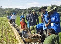 ĐVTN Vũ Quang ra quân làm giao thông nội đồng giúp bà con nông dân SX vụ Xuân. Ảnh: Bích Hường