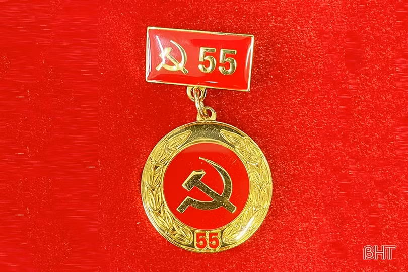 1.412 đảng viên Hà Tĩnh được trao tặng, truy tặng Huy hiệu Đảng dịp sinh nhật Bác Hồ