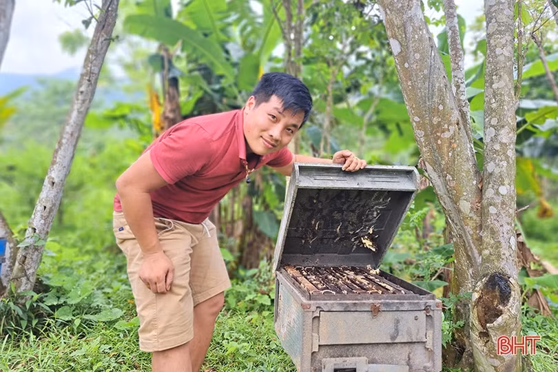 Về Hà Tĩnh, khám phá trại nuôi ong của cựu du học sinh Úc