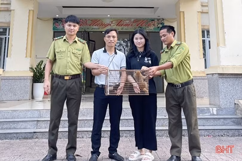 Nữ sinh Hà Tĩnh bắt được cá thể cu li quý hiếm