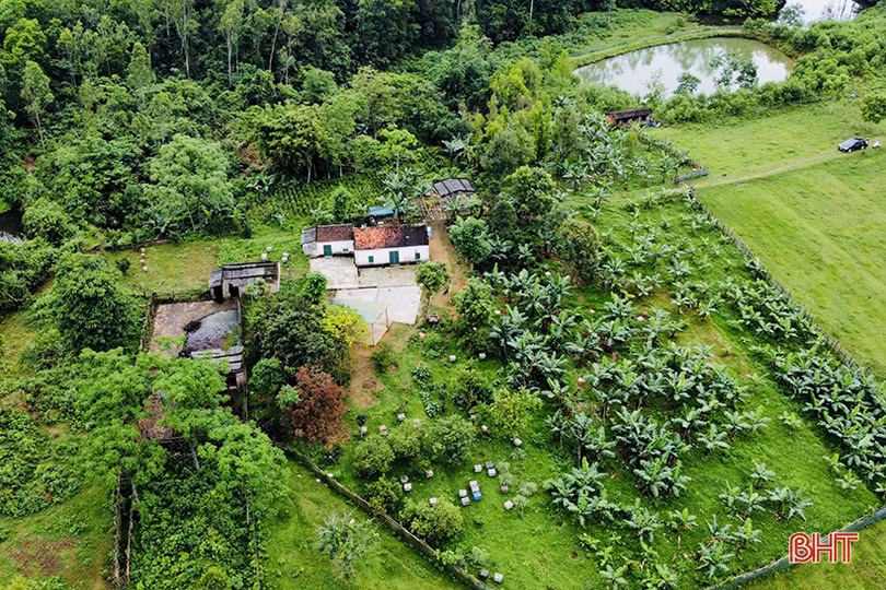 Về Hà Tĩnh, khám phá trại nuôi ong của cựu du học sinh Úc