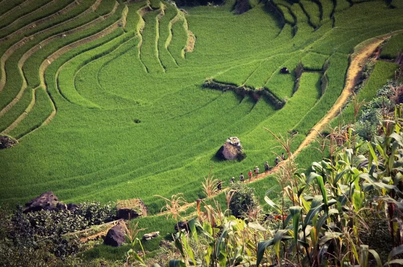 10 lý do nên đến Việt Nam vào mùa hè