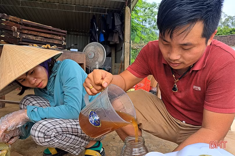 Về Hà Tĩnh, khám phá trại nuôi ong của cựu du học sinh Úc