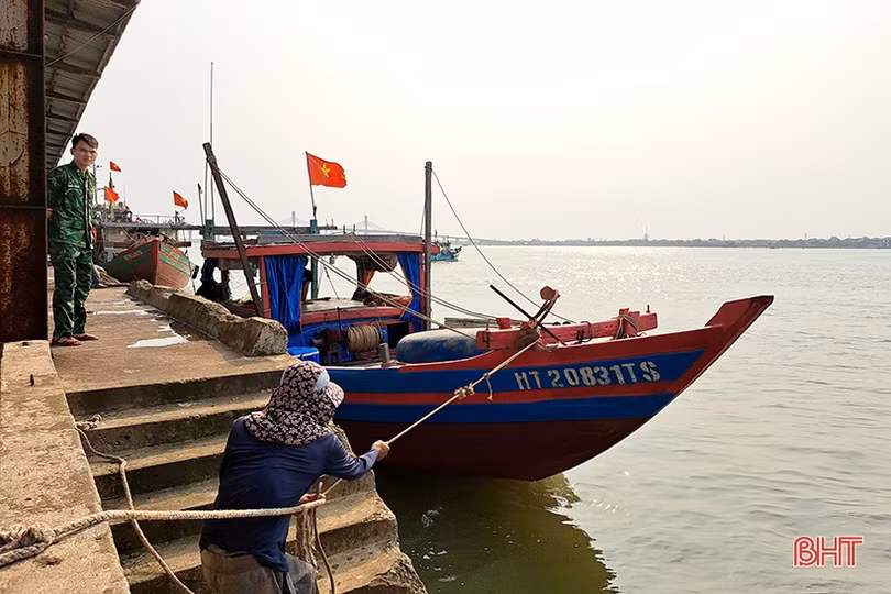 Mực tươi được giá, ngư dân Hà Tĩnh thu tiền triệu mỗi ngày