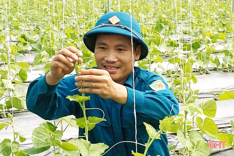 Thôn đội trưởng tận tâm với công việc, năng động làm kinh tế