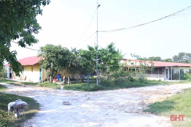 Có vốn Agribank, người dân Đức Thọ tự tin làm giàu