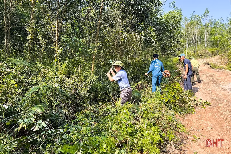 Đức Thọ lo phòng chống cháy rừng mùa cao điểm