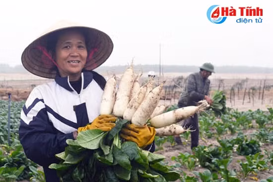 Tiếp tục thi đua lao động, sáng tạo, xây dựng gia đình hạnh phúc ảnh 2