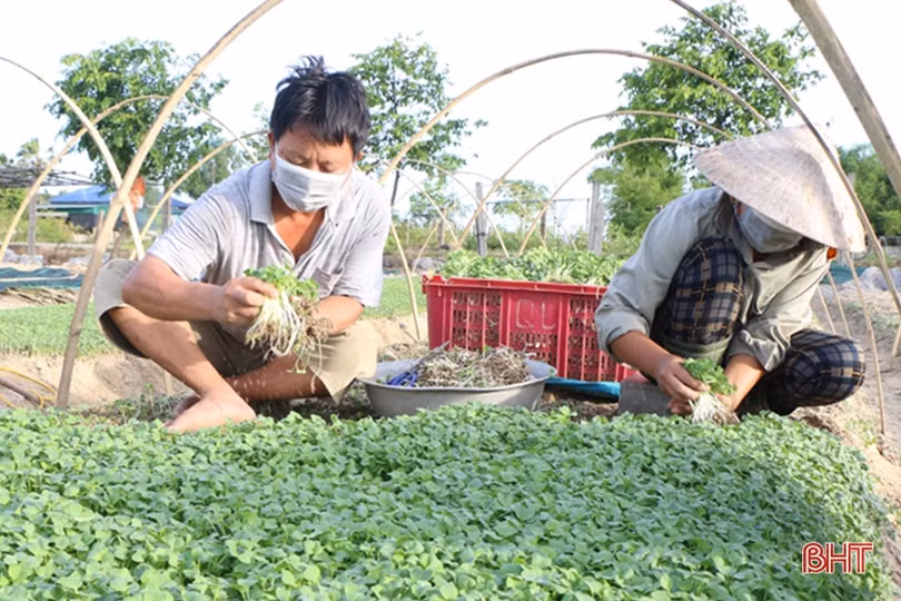 TP Hà Tĩnh vững vàng trong cuộc chiến phòng chống dịch COVID-19