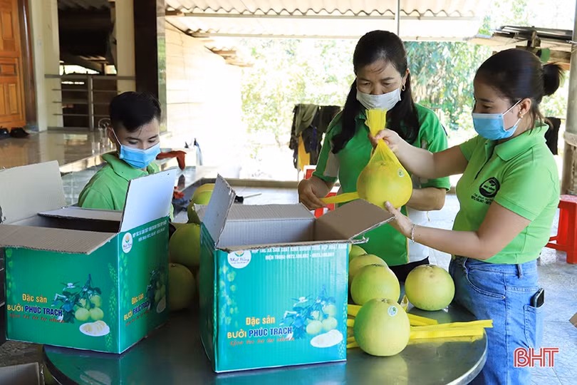 Sản phẩm nông nghiệp đầu tiên của Hà Tĩnh áp dụng quy trình chuyển đổi số