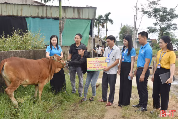 Lộc Hà trao bê giống, "tiếp sức" cho các hộ khó khăn