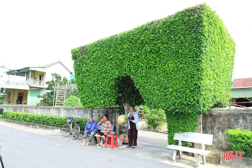 bqbht_br_nha-ong-tam.jpg