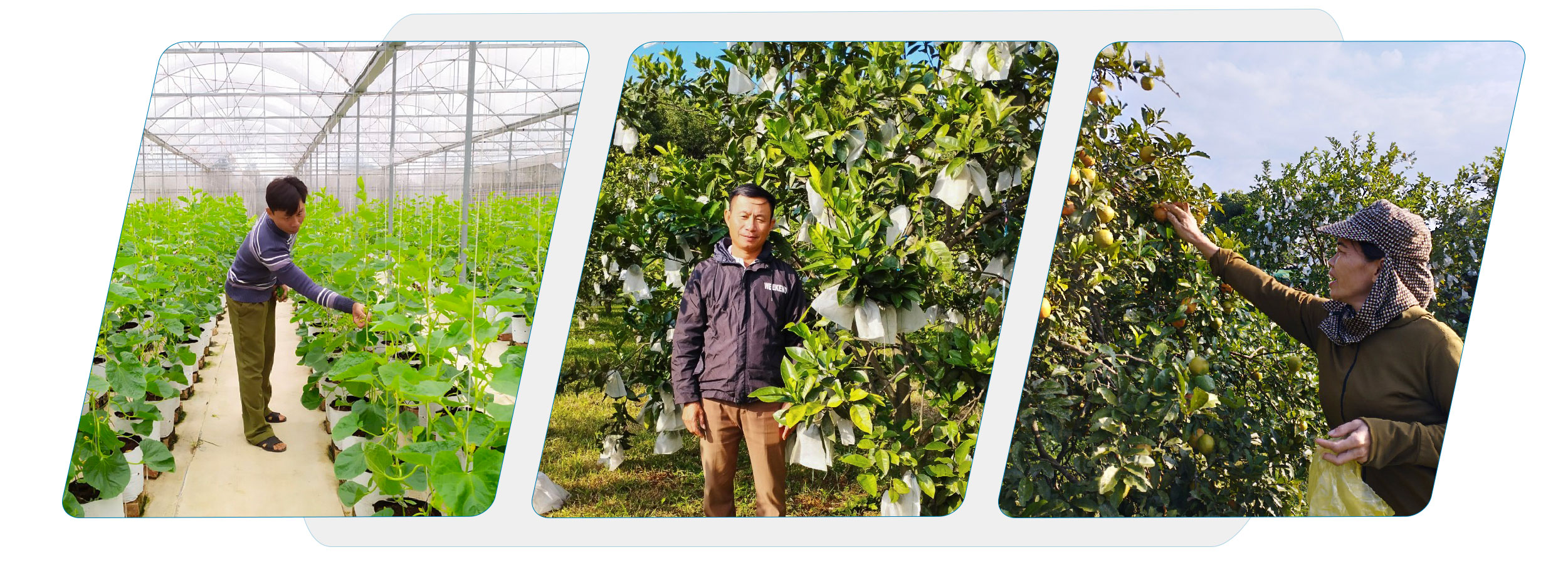Du lịch nông thôn - sức bật xây dựng nông thôn mới bền vững