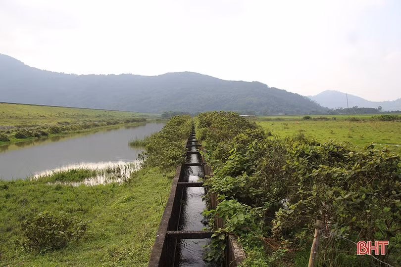 Sớm hồi sinh gần 10 ha đất trồng lúa bị sình lầy, bỏ hoang ở Nghi Xuân