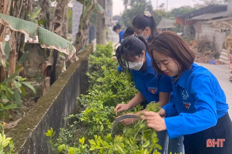 Tuổi trẻ Hà Tĩnh đồng loạt ra quân hưởng ứng Tháng Thanh niên