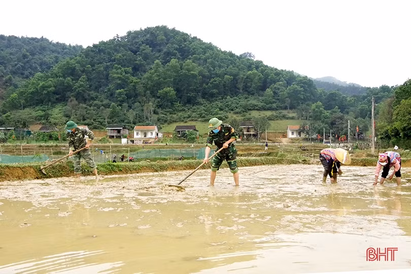 Cán bộ, chiến sỹ biên phòng xuống đồng giúp bà con dân tộc Chứt