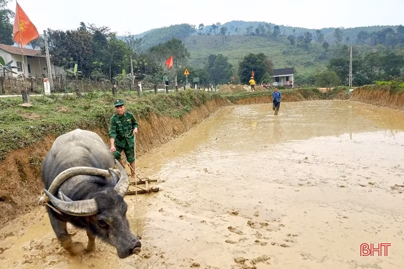 Cán bộ, chiến sỹ biên phòng xuống đồng giúp bà con dân tộc Chứt