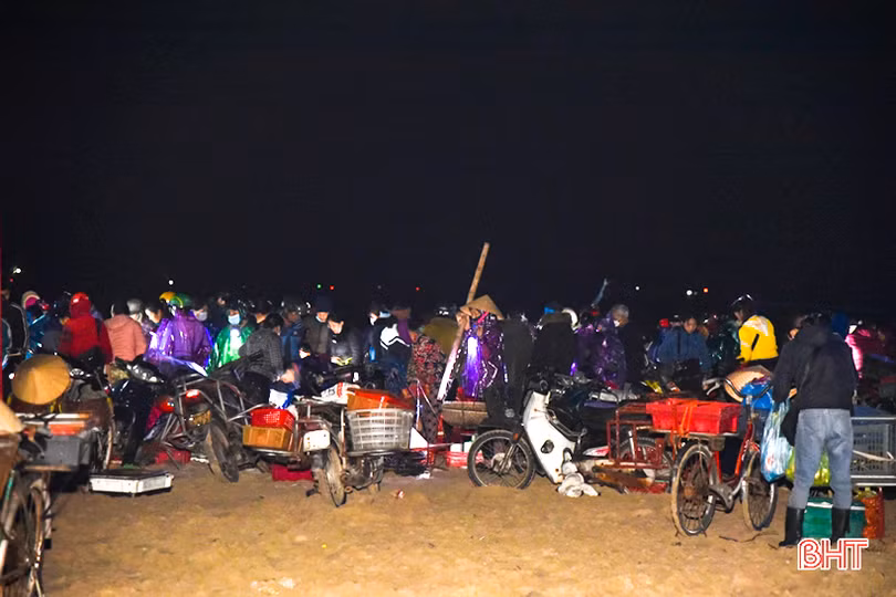Sớm cải thiện môi trường, điều kiện phục vụ kinh doanh ở chợ cá Cồn Gò