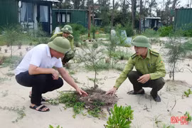 Hà Tĩnh triển khai chương trình hành động quốc gia chống sa mạc hóa