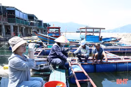 Sở NN&MT Hà Tĩnh thông báo kết quả phân tích mẫu cá tại Vũng Áng, Thiên Cầm