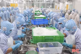 Hà Tĩnh từng bước hình thành, vận hành hệ sinh thái tận dụng các hiệp định thương mại tự do