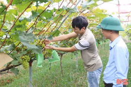 Để nông dân Hà Tĩnh thực sự là chủ thể của nông nghiệp hiện đại 