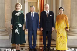 Tổng Bí thư, Chủ tịch nước Tô Lâm hội kiến Nhà vua Vương quốc Bỉ Philippe