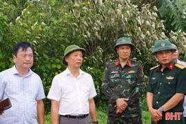 Chủ tịch UBND tỉnh Phan Thiên Định chỉ đạo chữa cháy rừng tại xã Trường Lưu