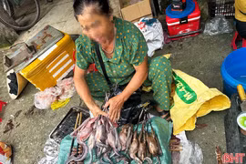Lại “nóng” săn bắt, tiêu thụ chim trời