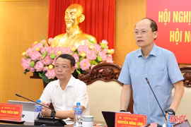 Ban Thường vụ Tỉnh ủy, Ban Chấp hành Đảng bộ tỉnh cho ý kiến các nội dung thuộc thẩm quyền