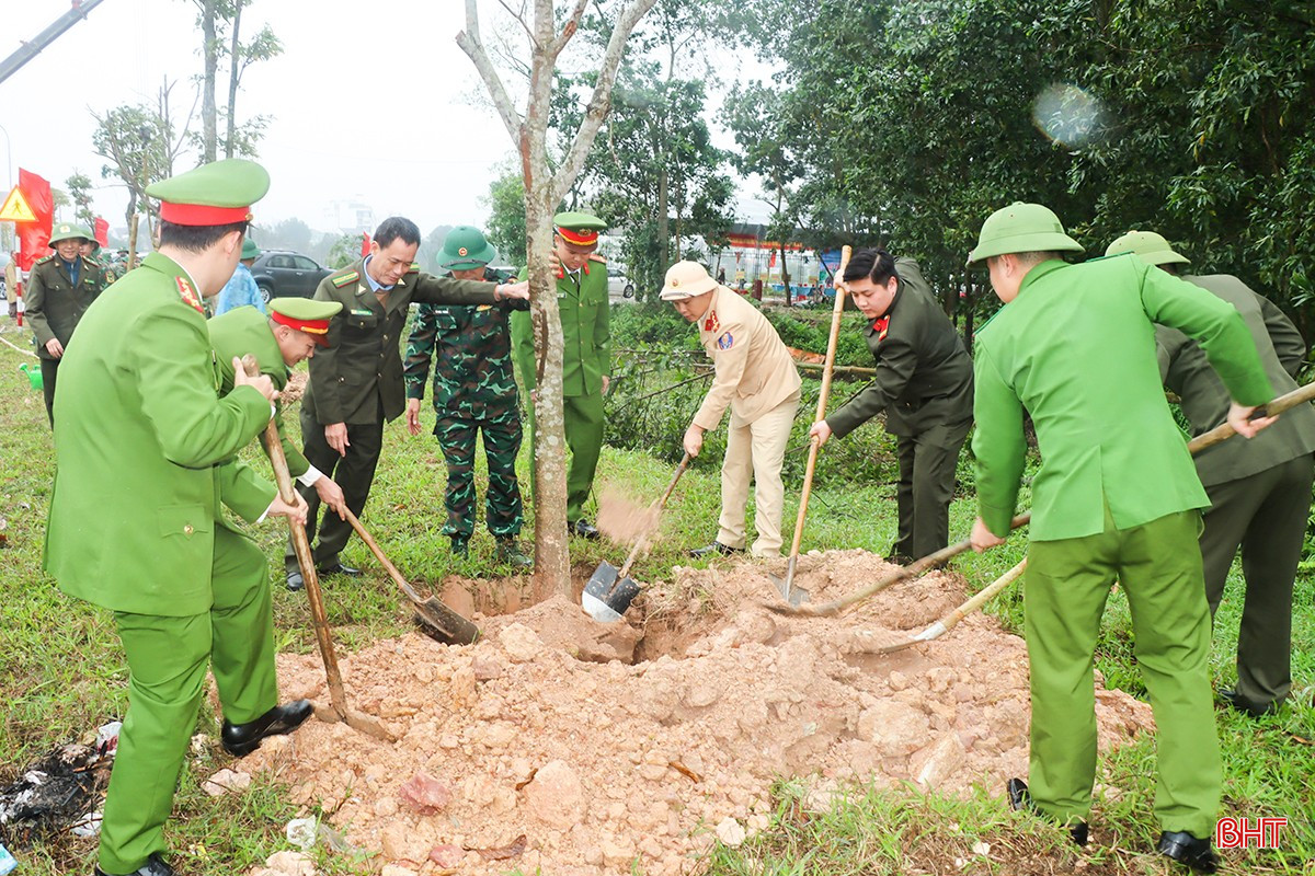 Năm 2025, Đức Thọ phấn đấu hoàn thành kế hoạch trồng trên 91.000 cây xanh.