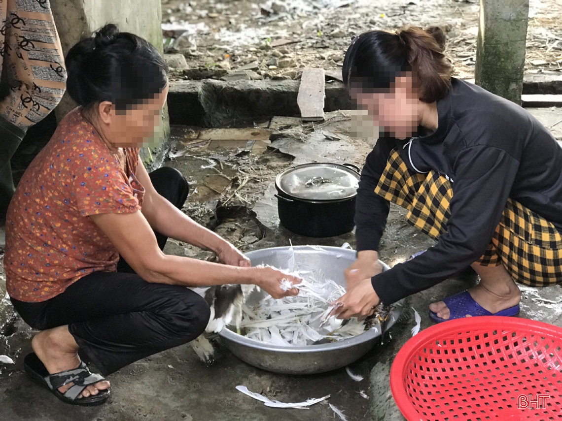 Ngăn chặn vấn nạn săn bắt “chim trời”: Cần đồng bộ và quyết liệt hơn nữa!