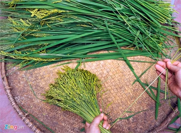 Những con đường tuyệt đẹp như bài hát ‘Nhớ mùa thu Hà Nội ảnh 8