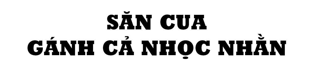 Săn cua biển trong rừng ngập mặn ở Hà Tĩnh