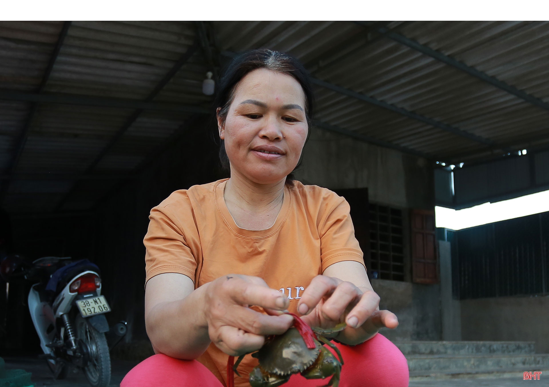 Săn cua biển trong rừng ngập mặn ở Hà Tĩnh