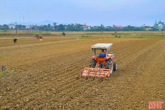 Hà Tĩnh linh hoạt sản xuất vụ đông, nâng cao chất lượng nông sản