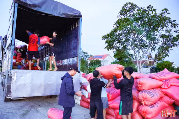 Vào cao điểm thu hoạch vụ hè thu, giá lúa tại Hà Tĩnh ra sao?