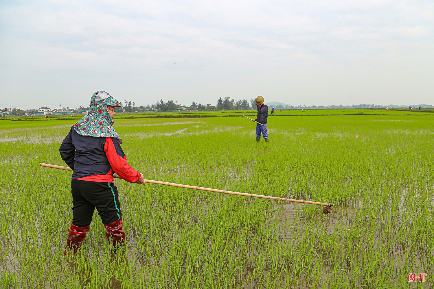Tập trung, tích tụ ruộng đất - kiến tạo nền nông nghiệp hiện đại, bền vững (Bài cuối): Phát huy sức mạnh tổng hợp, vững bước trên đường lớn