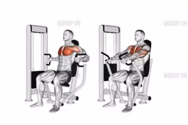 5 bài tập cho nam giúp phát triển thân trên cân đối