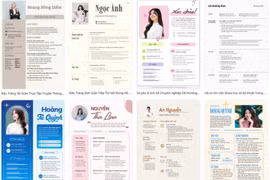 Hồ sơ xin việc online: CV, bằng cấp và chứng chỉ trong một file