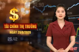 Tài chính thị trường ngày 28/8: Vợ chồng ông Phạm Nhật Vượng cùng đứng đầu bảng xếp hạng người giàu Việt Nam
