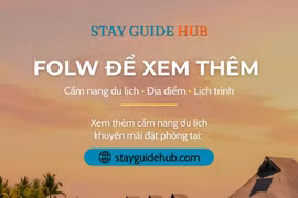 Stay Guide Hub: Cẩm nang toàn diện cho mọi tín đồ du lịch và lưu trú