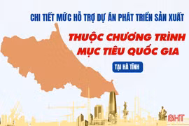 [Infographic] Chi tiết mức hỗ trợ dự án phát triển sản xuất thuộc Chương trình mục tiêu quốc gia tại Hà Tĩnh