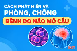 [Infographic] Cách phát hiện và phòng, chống bệnh do não mô cầu